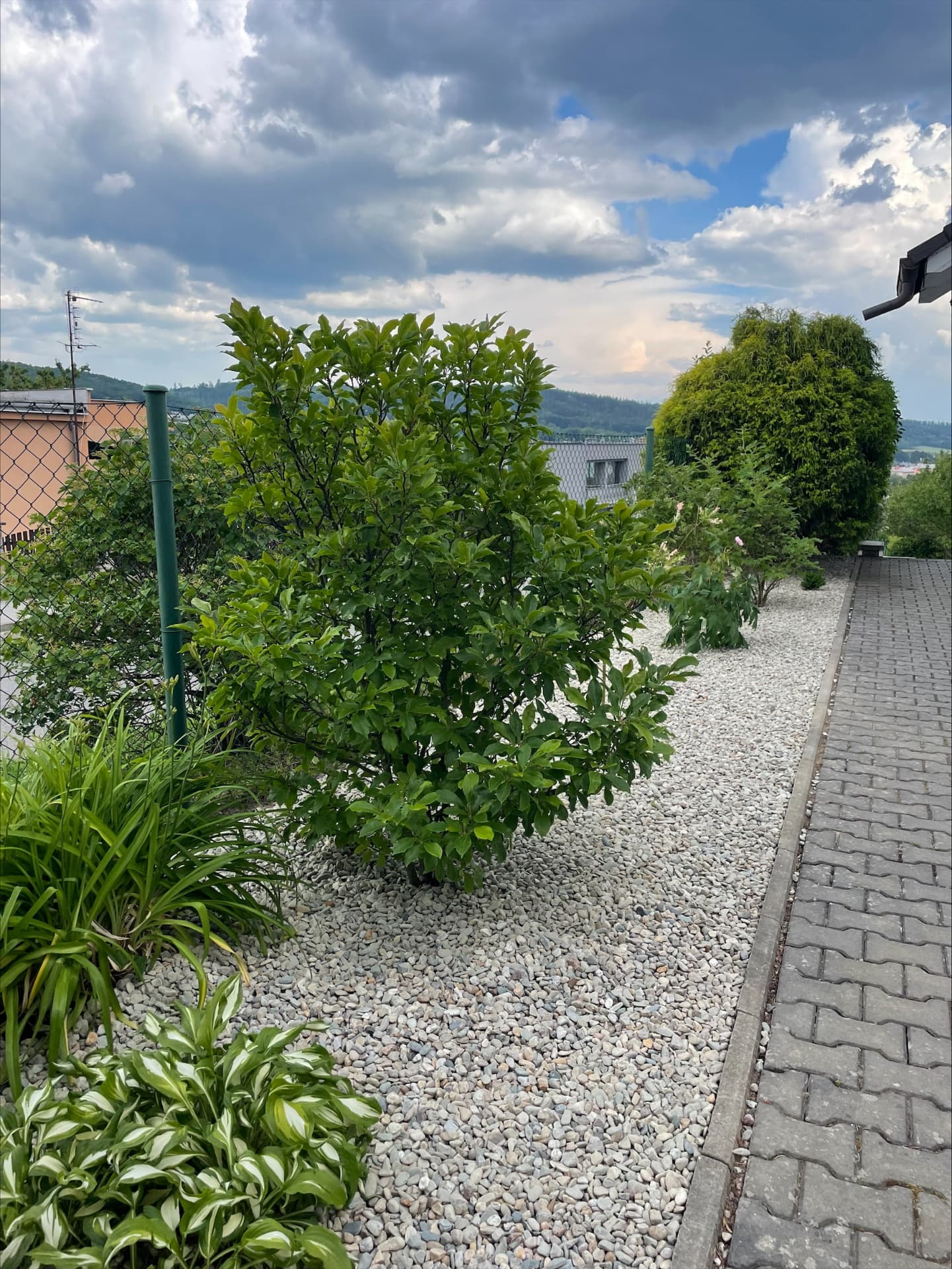 Vyčištěný sadebový záhon s bílým štěrkem po úpravě