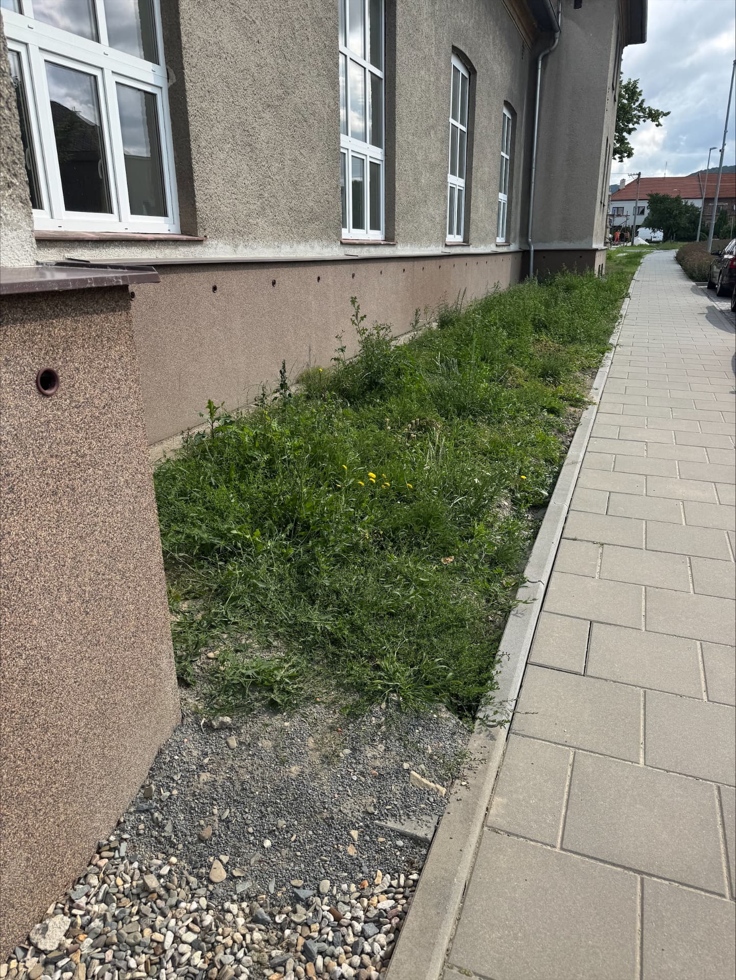 Zarostlý pás trávy podél budovy před úpravou